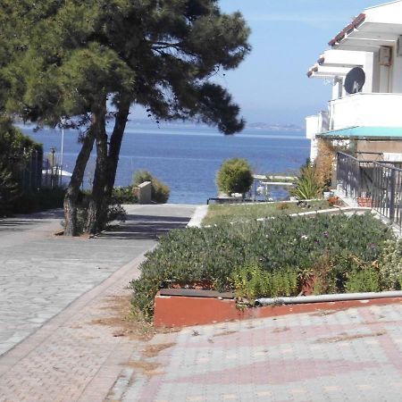 Dafni'S Home 50 Meters From The Beach Gerakini Exterior photo