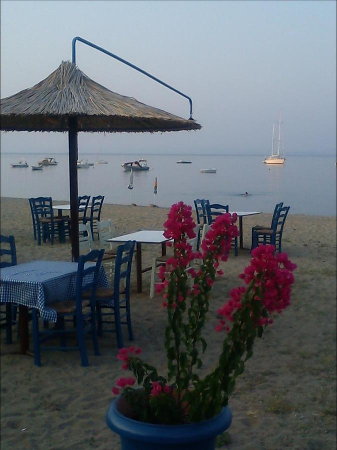 Dafni'S Home 50 Meters From The Beach Gerakini Exterior photo